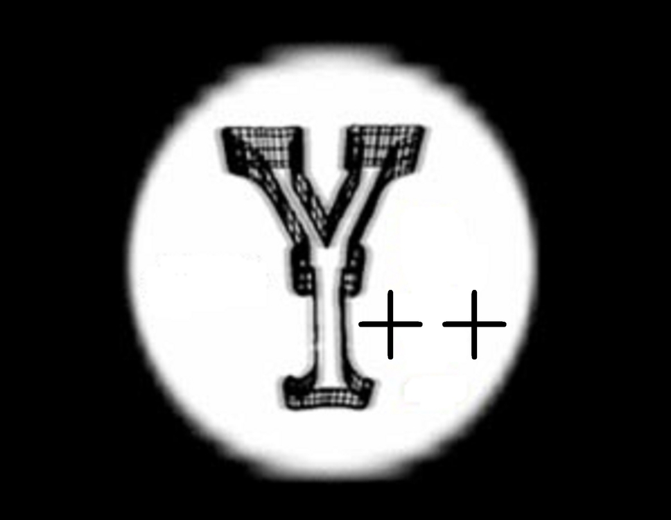 Y++
