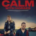 CALM WITH HORSES